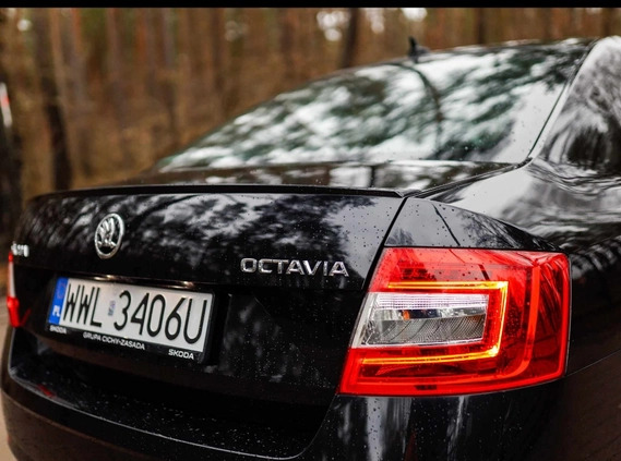 Skoda Octavia cena 82900 przebieg: 36700, rok produkcji 2019 z Kobyłka małe 326
